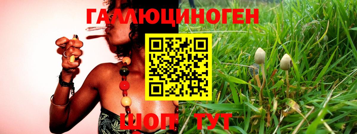Междуреченск  закладка  Вход с VPN  Псилоцибиновые грибы Psilocybe  Псилоцибиновые грибы Magic Shrooms 